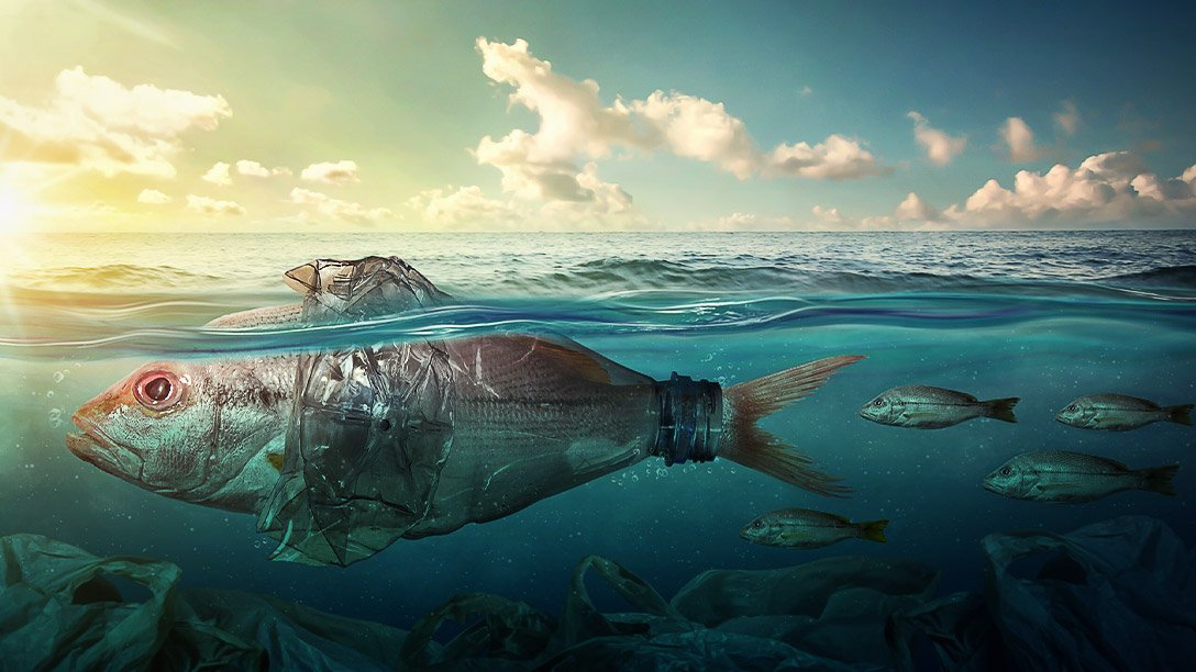 It‘s inevitable - we must reduce the ocean plastic pollution